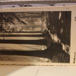 Großer Karton voller Ansichtskarten, alles "Deutschland"