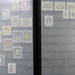 Österreich 1850-2001, große Sammlung mit Nebengebieten