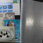 Österreich 1850-2001, große Sammlung mit Nebengebieten