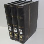 Österreich 1850-2001, große Sammlung mit Nebengebieten