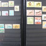 Albanien 1913 bis ca. 1980 in 2 Alben