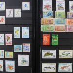 Albanien 1913 bis ca. 1980 in 2 Alben