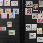 Albanien 1913 bis ca. 1980 in 2 Alben