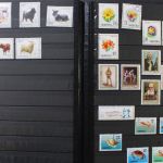 Albanien 1913 bis ca. 1980 in 2 Alben