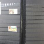 Albanien 1913 bis ca. 1980 in 2 Alben