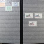 Albanien 1913 bis ca. 1980 in 2 Alben