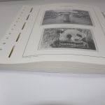 Leuchtturm, Jersey 2013-2022, SF-System