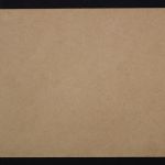 DR Dienst, MiNr. DP 2, ungebraucht