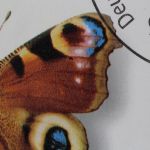 Deutschland (BRD), MiNr. 2504 PF I im MH 60, gestempelt