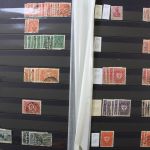 Deutsches Reich 1916-1923, Sammlung mit Dubletten