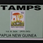 Papua Neuguinea, MiNr. 751, Markenheftchen, postfrisch