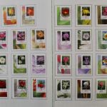 Deutschland Blumenserie, Eckränder usw.