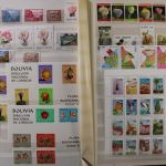 Motivsammlung "Kakteen"