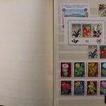 Motivsammlung "Kakteen"