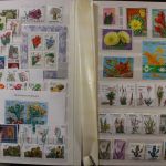 Motivsammlung "Kakteen"