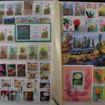 Motivsammlung "Kakteen"