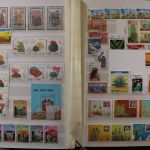 Motivsammlung "Kakteen"