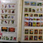 Motivsammlung "Kakteen"