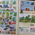 Motivsammlung "Kakteen"