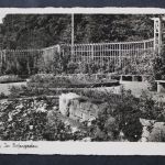 Pinneberg, im Rosengarten