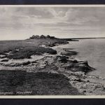 Hallig Langeness, Mayenswarf