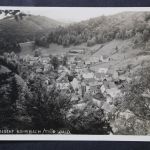 Rohrbach, Thüringer Wald, Blick auf dem Ort