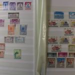 Südasien, große Sammlung in 3 Einsteckalben