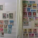 Südasien, große Sammlung in 3 Einsteckalben