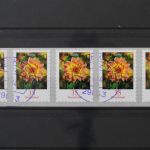 Deutschland, MiNr. 2514 skl. waag. Fünferstreifen, ZN 1565, gestempelt