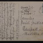 Bad Nauheim, Teichhaus, Schwanenfamilie