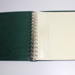 Leuchtturm, grüner Ringbinder "DE"-EXCELLENT