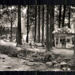 Bad Harzburg, Am Radau Wasserfall