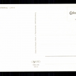 Dahlenburg, Blick auf den Ort, Luftbild