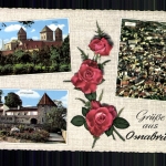 Osnabrück, Dom, City, Vitischanze und Rosen