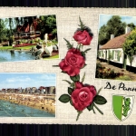 De Panne, 3 Ortsansichten, Rosen, Wappen