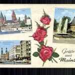 Mainz, Dom, an der Universität, Grosse Bleichen u. Peterskirche, Rosen