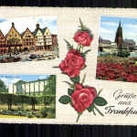Frankfurt, Römer, Dom, Palmengarten, Rosen