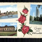 Düsseldorf, Rheinufer, Thyssen Haus, Benrather Schloss, Rosen