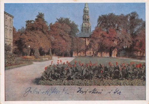 Zwickau i. Sa. Dom St. Marien ngl 198.062