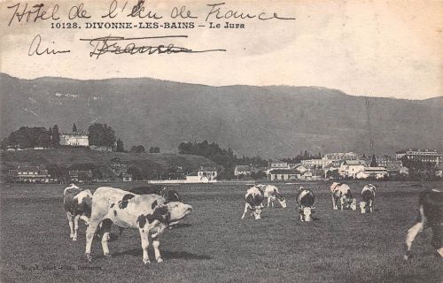 Frankreich Divonne-les-Bains gl 198.105