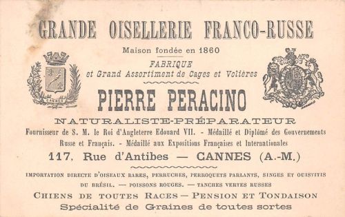 Frankreich Cannes Pierre Peracino, Carte de visite, pas carte postale ngl 198.128