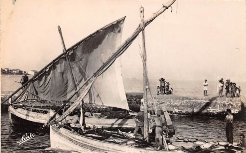 Frankreich 34 Palavas Retour fructueux de la Peche… ngl 198.276