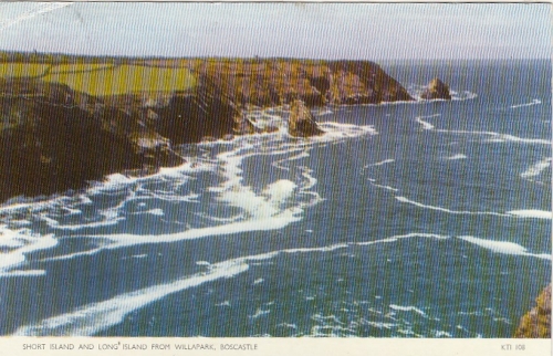 Boscastle, Short Island amd Long Island from Willapark gl1959 F9473