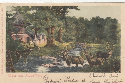 Gruss aus Tuppelburg, Litho glum 1900? F9548