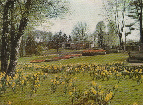 Saarbrücken dt.-franz.Gartenschau 1960 gl1960 C4362