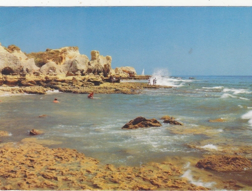 Praia do Castello ngl G0585