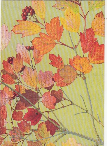 PHILIPPE ROBERT, Leaves - Feuilage glum 1980? G1473