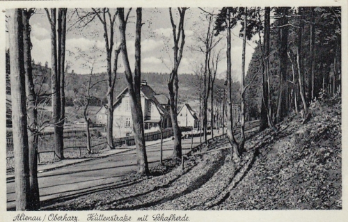 Altenau, Oberharz, Hüttenstraße mit Schafherde ngl G2410
