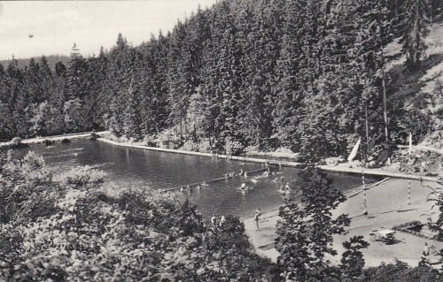 Altenau, Oberharz, Schwimmbad gl1967 G2417