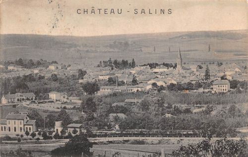 Frankreich 57 Château-Salins Vue generale feldpgl1916 198.413
